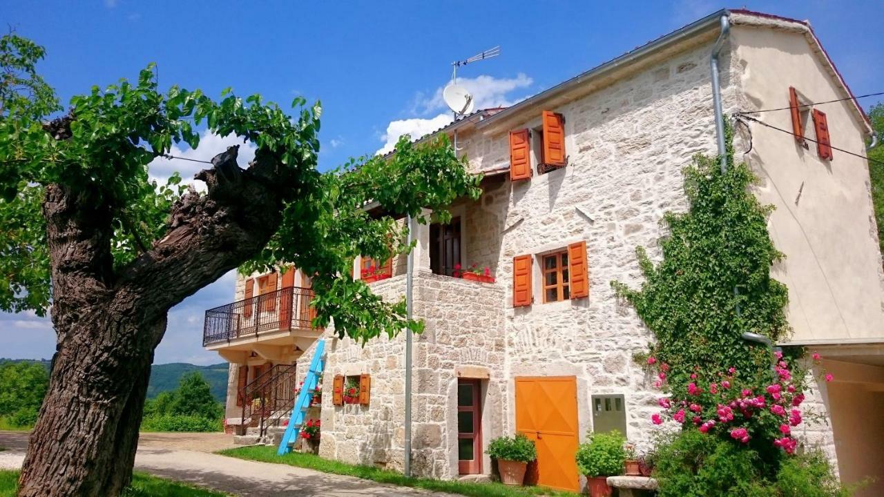 Villa Angela E Giovanni ヴィジナダ エクステリア 写真